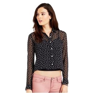 Aeropostale sheer butterfly cropped button down